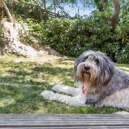 Haus Moevengrund * List